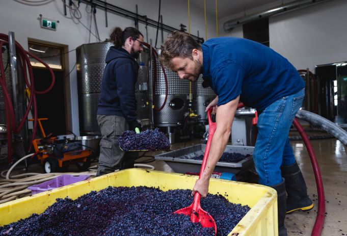 New Brunswick’s Beers, Wines and Spirits Go Wild!
