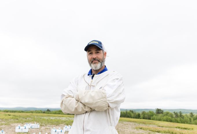 How Bees Keep New Brunswick’s Blueberries Growing